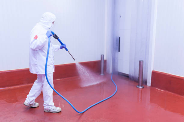Best Solar Panel Cleaning  in East Moriches, NY